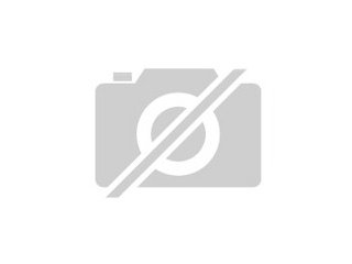 Yorkiwelpe sucht ein neues zu Hause
